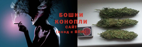 гашик Богданович