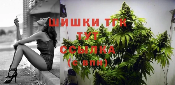 гашик Богданович