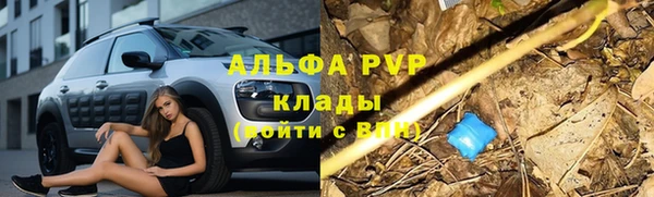 гашик Богданович