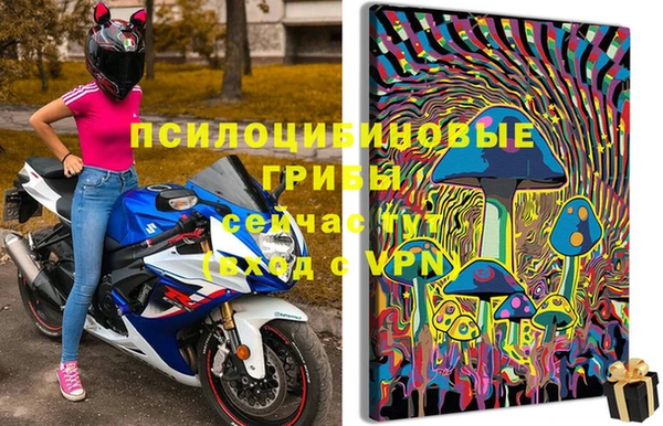 a pvp Богородск