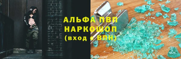 гашик Богданович