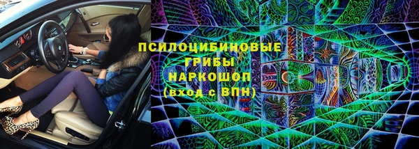 гашик Богданович