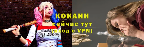 гашик Богданович
