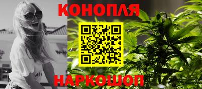 гашик Жуковский
