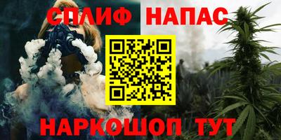 гашик Жуковский