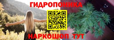 spice Заводоуковск