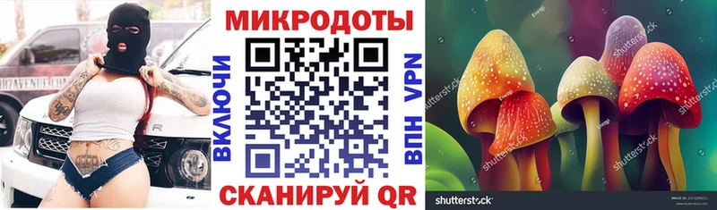Псилоцибиновые грибы Psilocybe  кракен сайт  Наро-Фоминск 