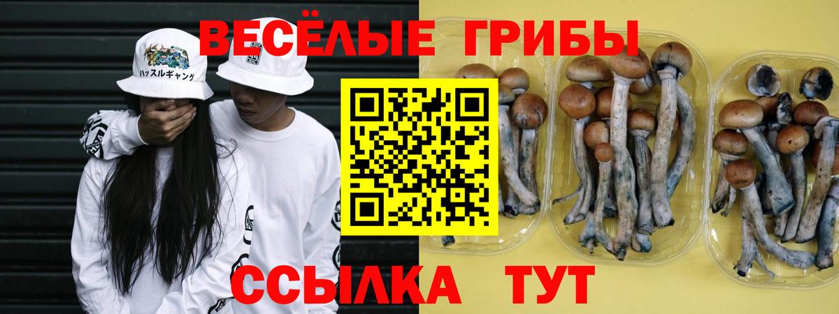 Псилоцибиновые грибы Psilocybe  Вход с VPN  Наро-Фоминск 