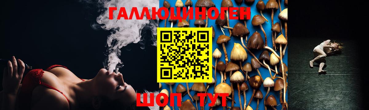 Галлюциногенные грибы Psilocybine cubensis Наро-Фоминск